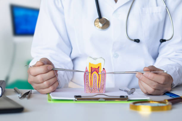 Best Emergency Dental Services for Seniors in Point Lookout, NY